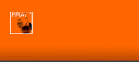 00_frai_web